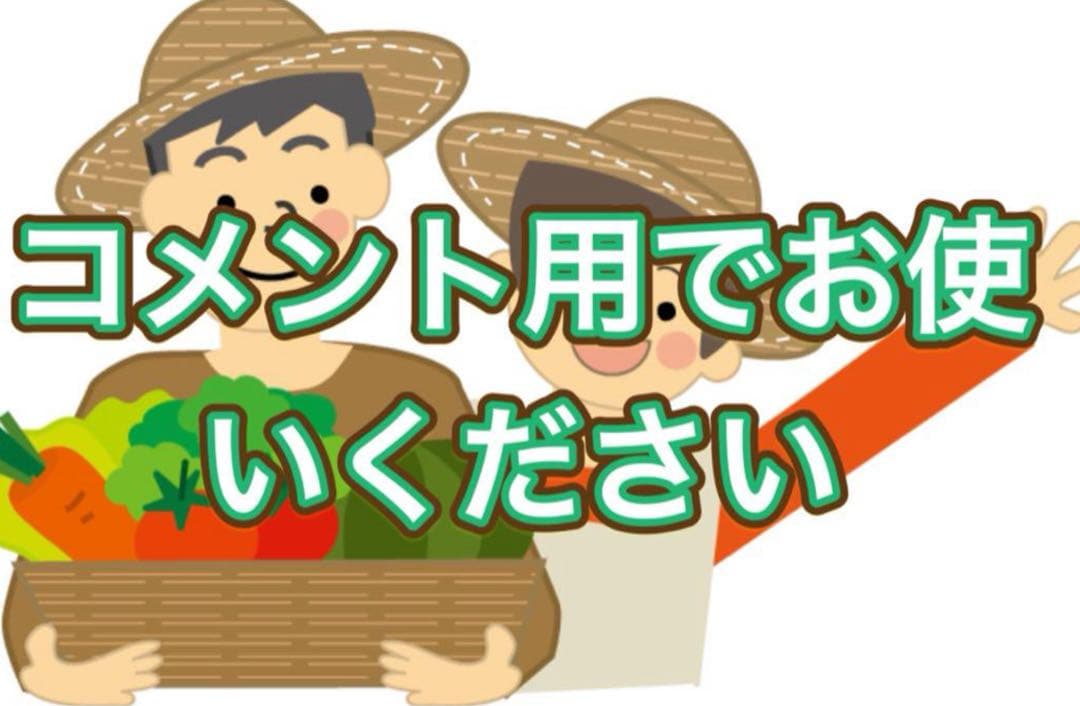 淡路島産淡路島新玉ねぎ高糖度、減農薬、農家