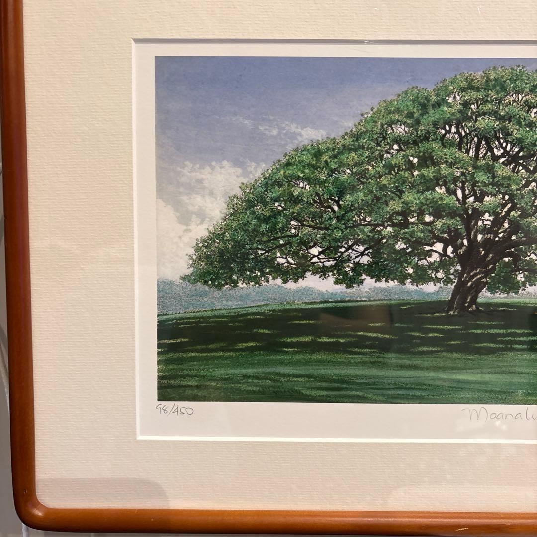 レア☆ キャロル コレット MOANALUA  GARDEN