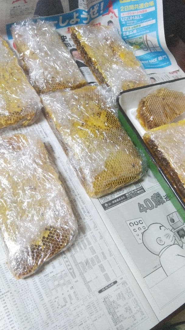 8/6採蜜、日本蜜蜂の巣蜜(お好みの量で出品可能)