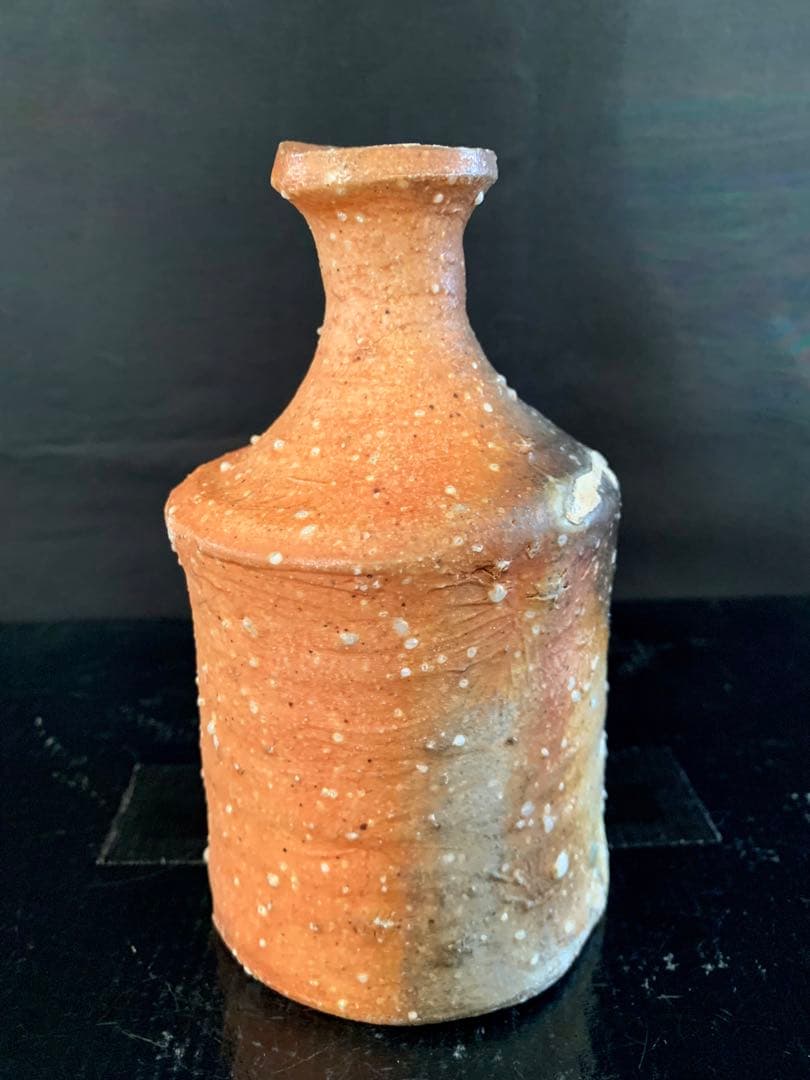 辻村史朗　信楽徳利