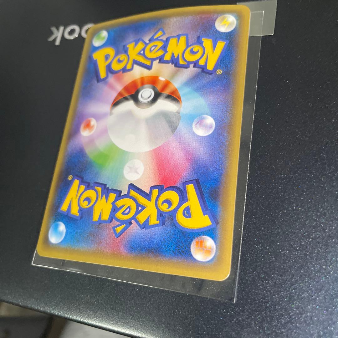 ポンチョを着たピカチュウ　黒　レックウザ