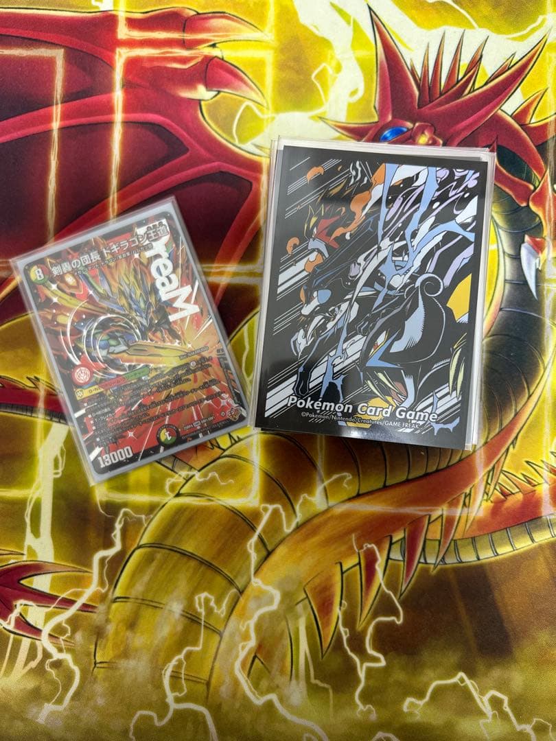 リースドギラゴン王道　二重スリーブ