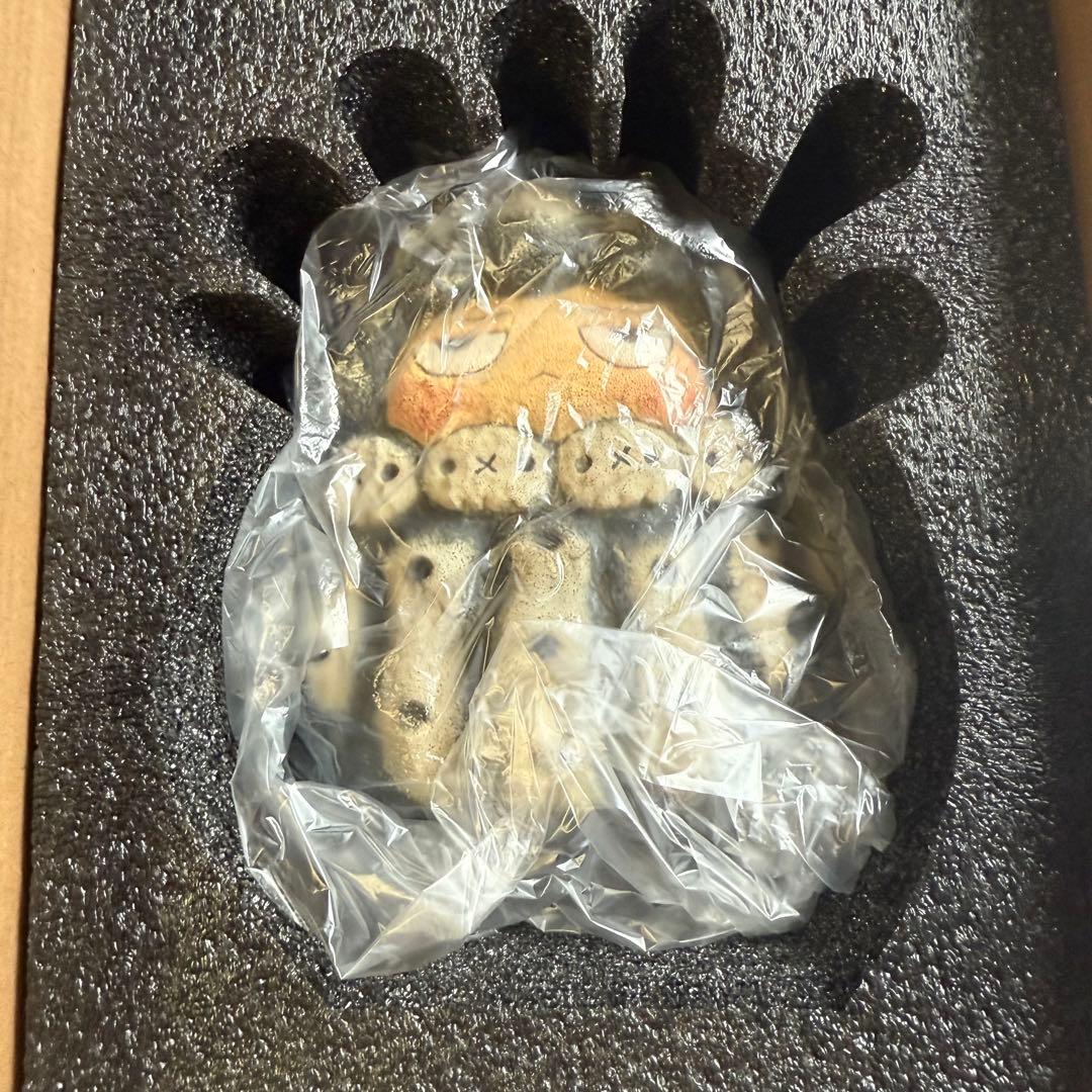 羅本製所 robinceramicstudio POH Copiapoa