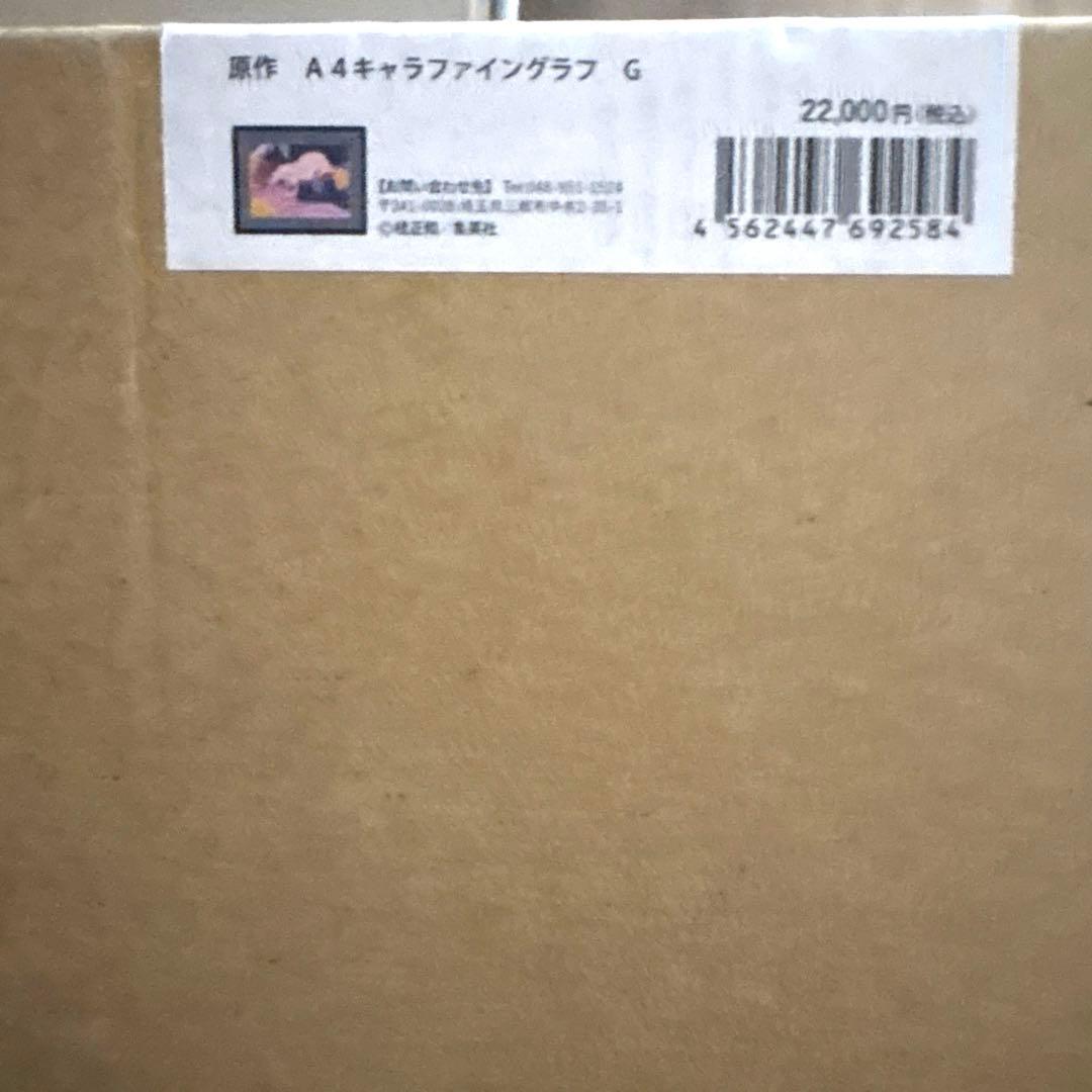 桂正和展 I's キャラファイングラフ 伊織