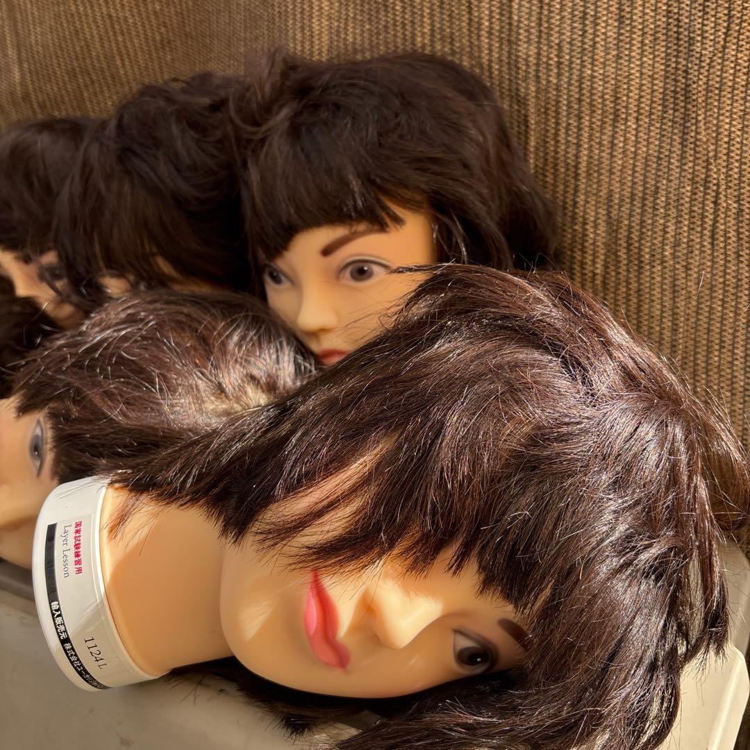 ユーカリージャパン　カットウィッグ国家試験練習用10個セット　値下げあり