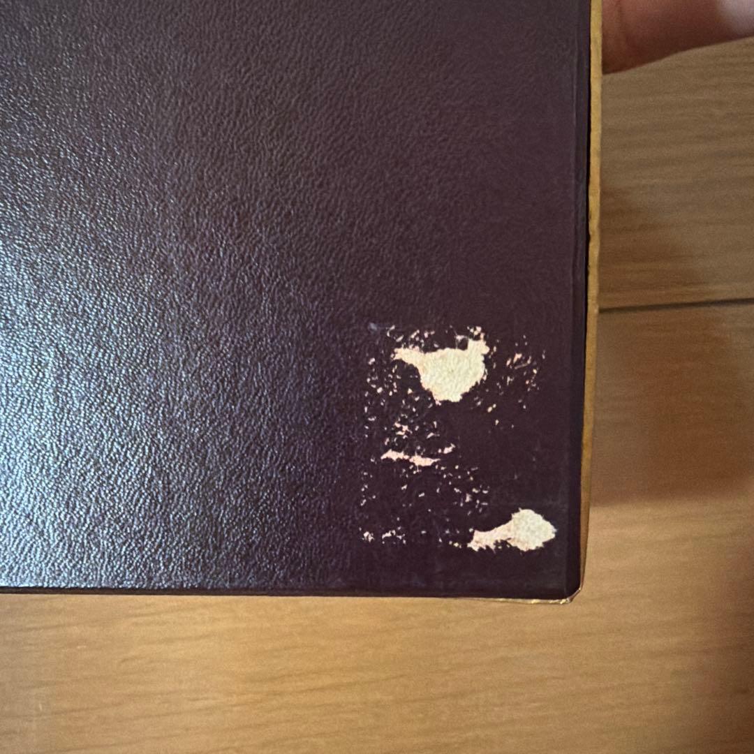 y*z様 珊瑚模型 B10 未完成品　ジャンク