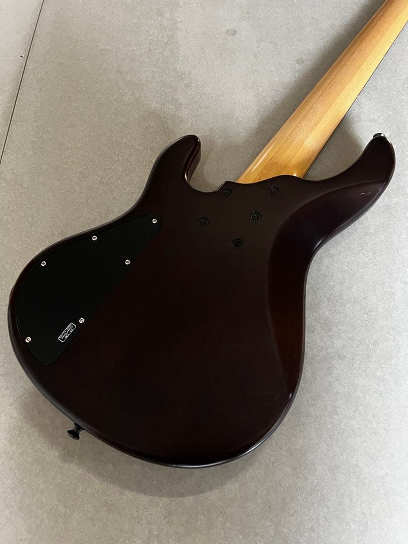 STR LS549 ５弦ベース