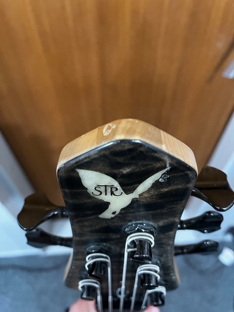 STR LS549 ５弦ベース