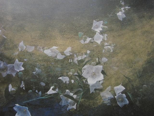 波多野杜邦、【ひかり野】、希少な額装用画集画、新品高級額 額装付