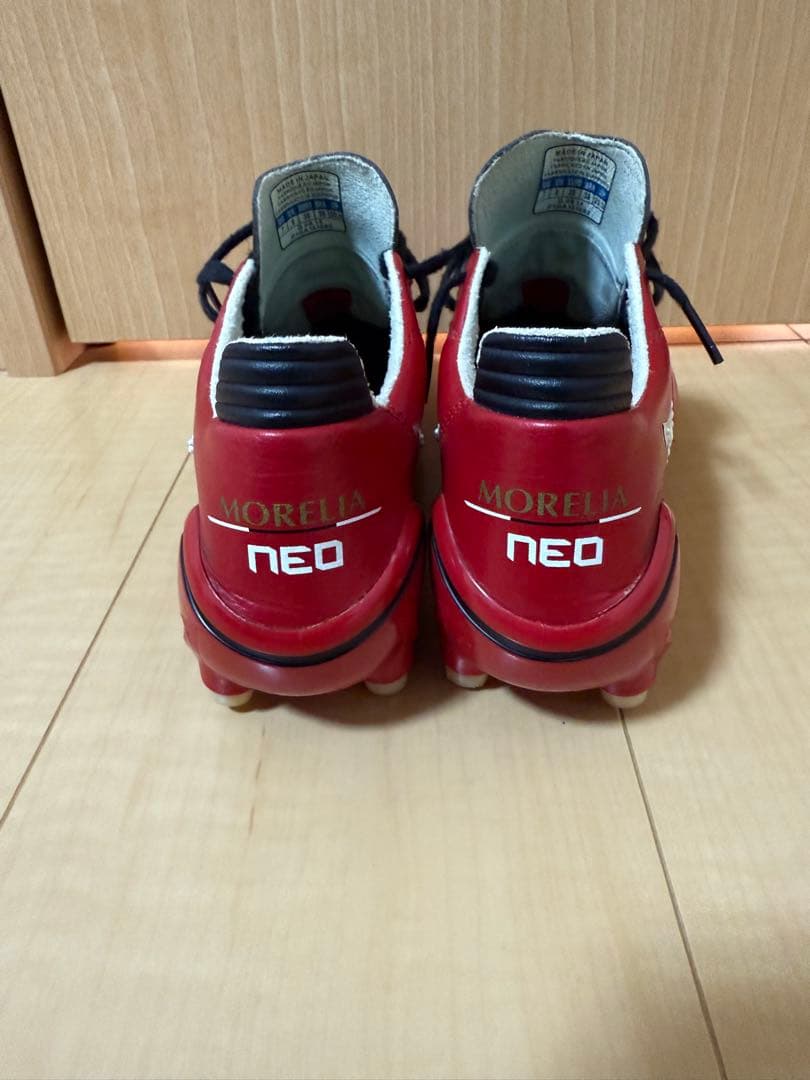 ✨希少✨モレリアネオ初代