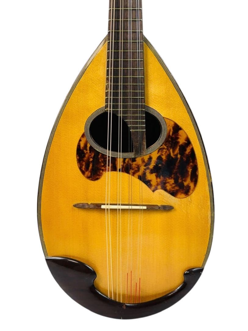 木曽鈴木バイオリン社 石川捷二郎監修 マンドリン Venezia M-50