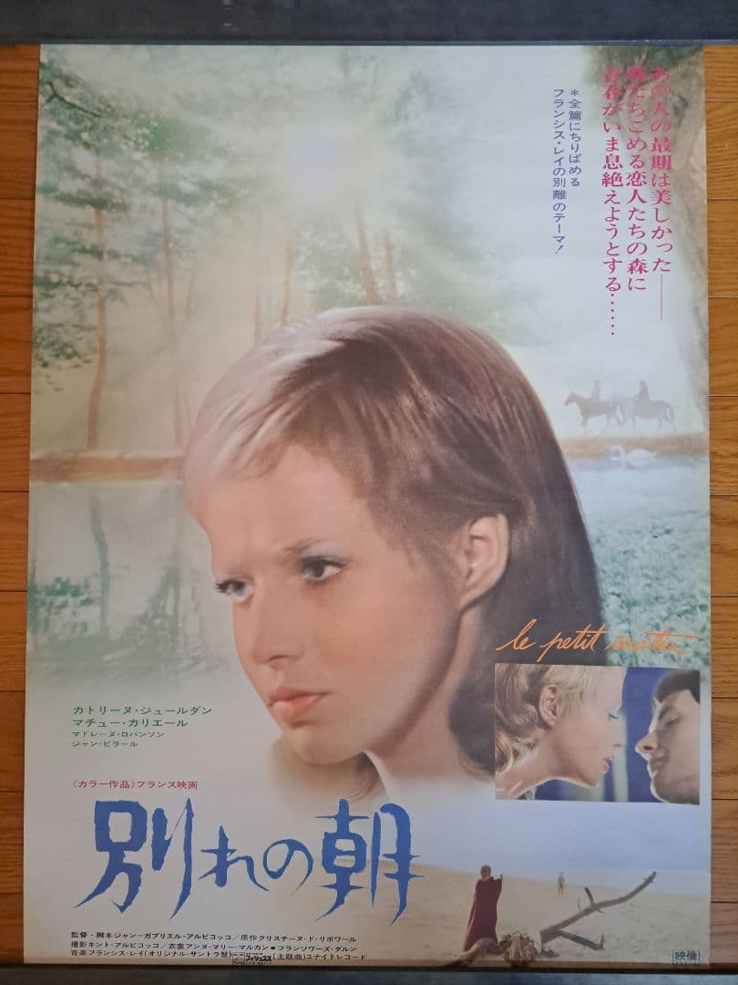 ベニスに死す、太陽がいっぱい、悲しみの青春　他ポスター10枚