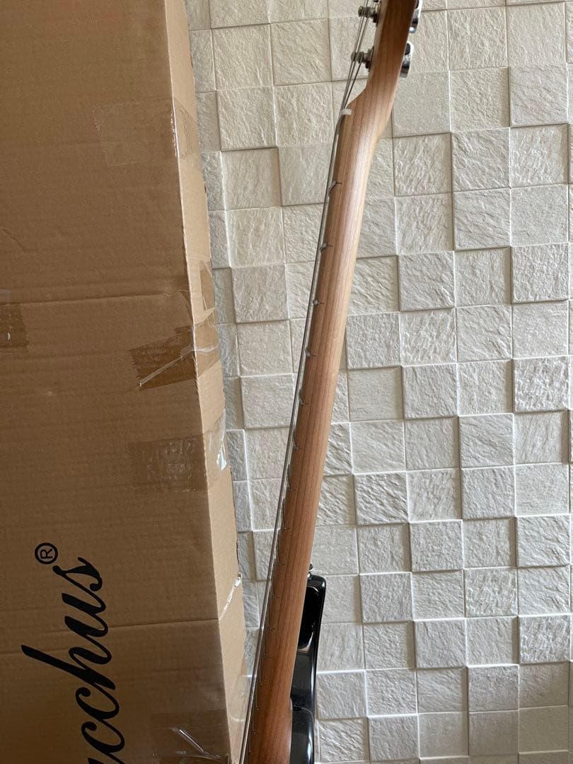 Bacchus GS-4DX RSM/M BLK ステンレスフレット