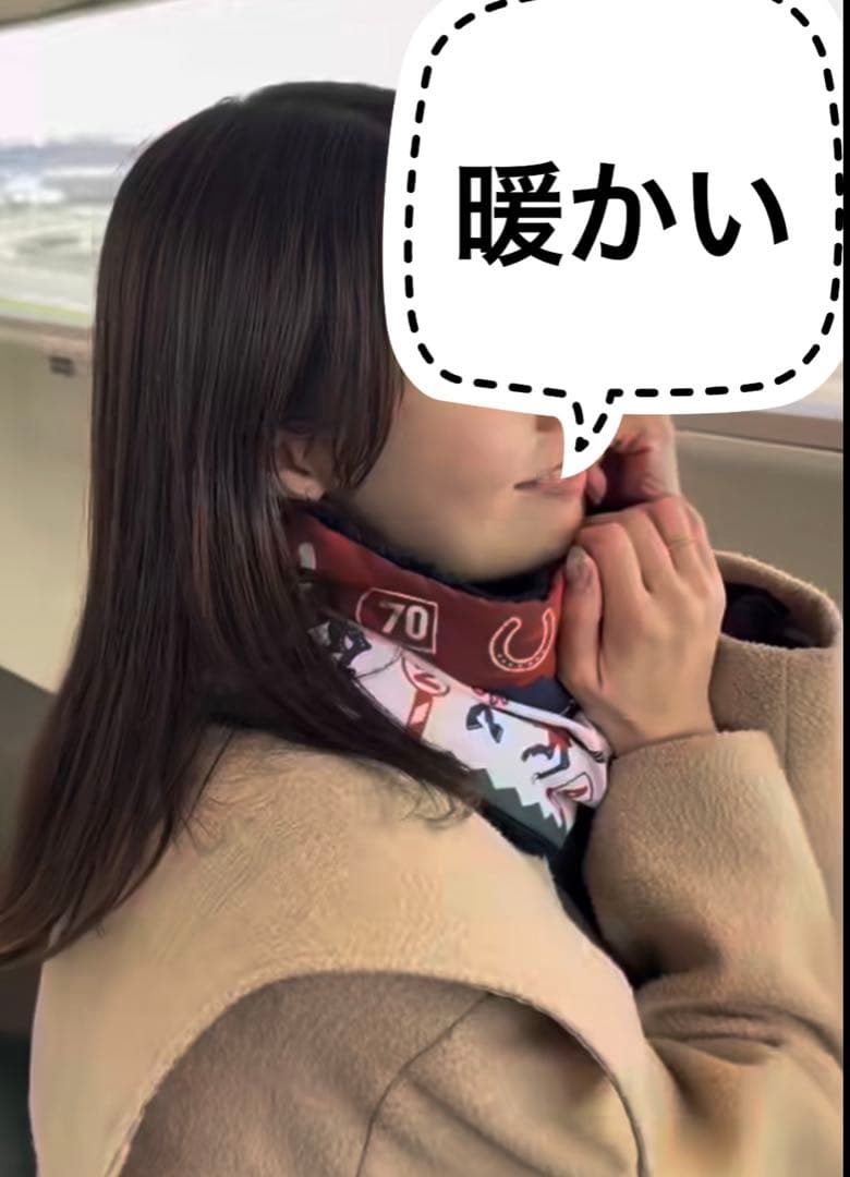 【中山競馬場・非売品】有馬記念　JRA公式　記念品フルセット