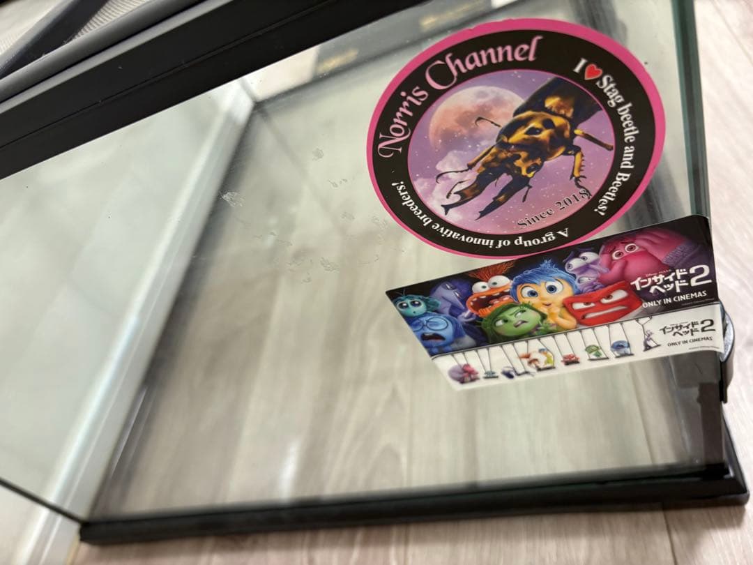 爬虫類飼育セットリクガメフトアゴガラスケージ60.5cm45.5cm32.5cm