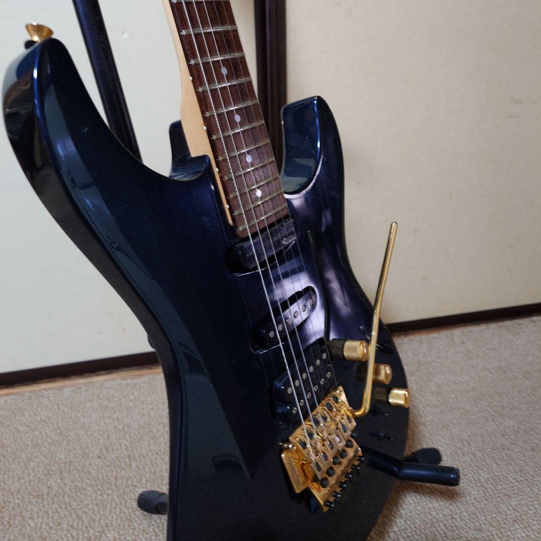 フェルナンデスFRサスティナー