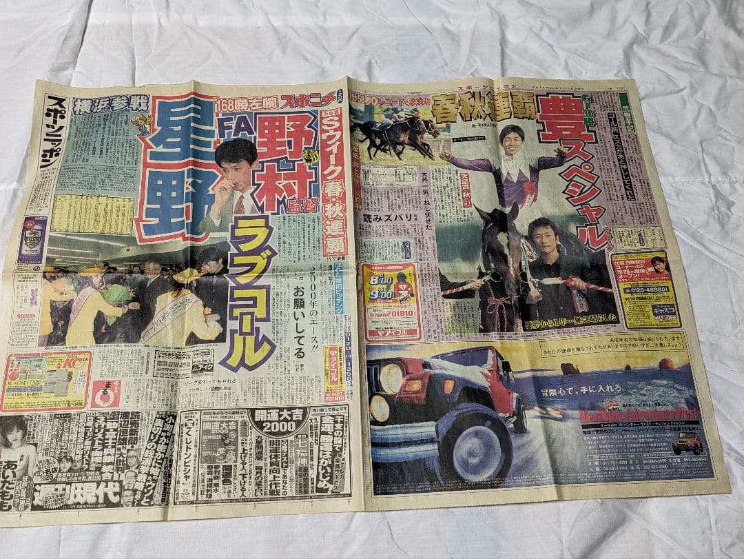 スペシャルウィーク　武豊　天皇賞秋　競走馬　写真　パネル　額縁　スポーツ新聞付き