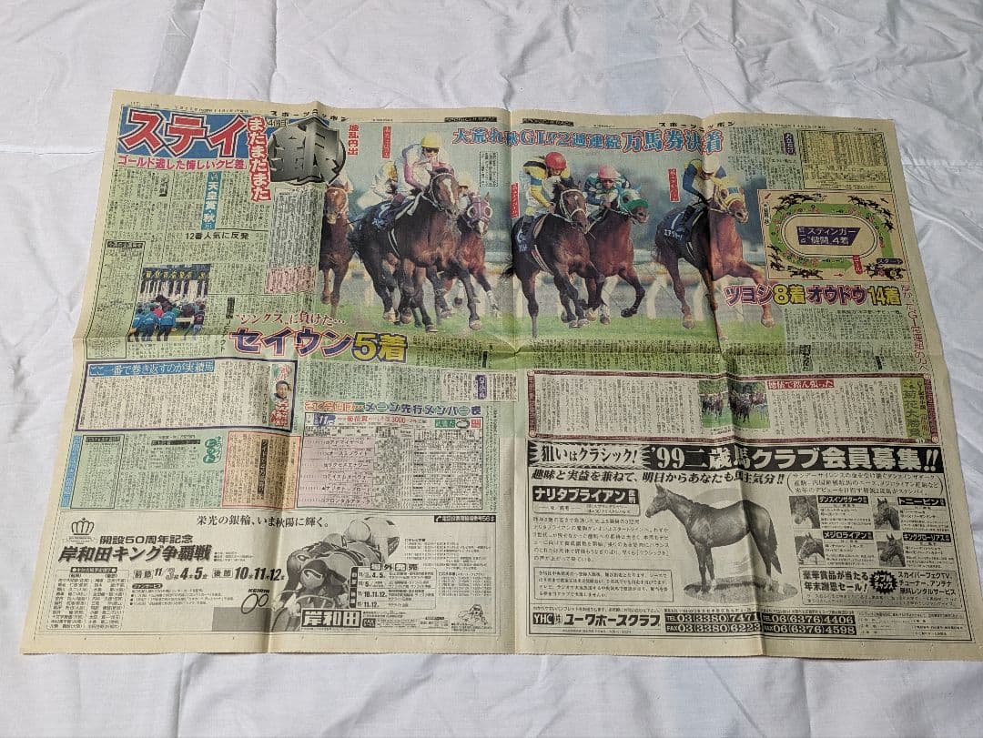 スペシャルウィーク　武豊　天皇賞秋　競走馬　写真　パネル　額縁　スポーツ新聞付き