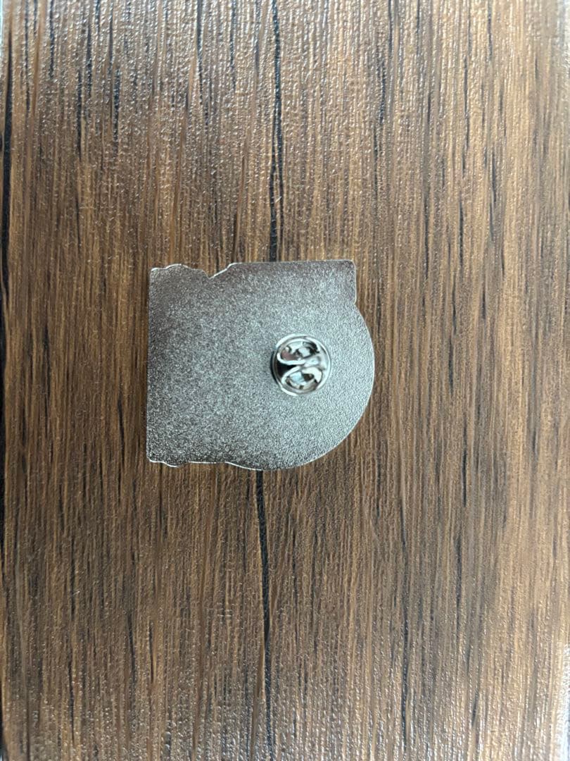 【非売品】鬼滅の刃ピンバッジ（メイン4人と全柱）