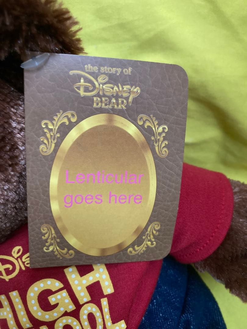 新品‼️海外ディズニーランド✳️WDWハイスクールミュージカル ダッフィーぬいぐるみ