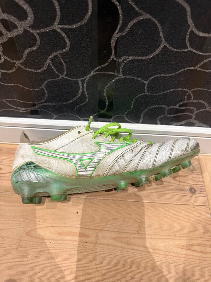 モレリアネオ3JAPAN 限定色 24.5