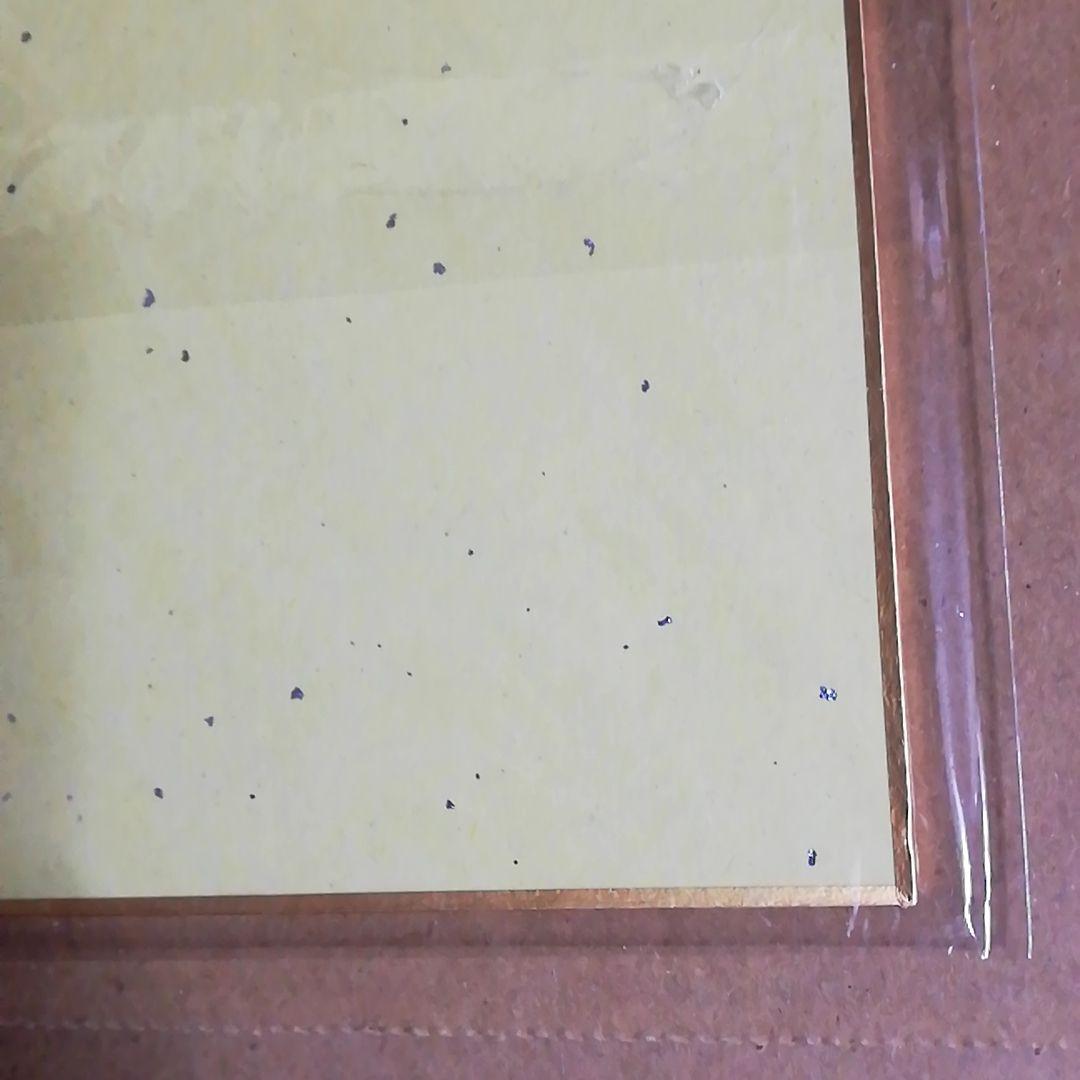 抽プレ　当選品　岸田メル　直筆サイン入り　ブルーリフレクション　白井日菜子　色紙