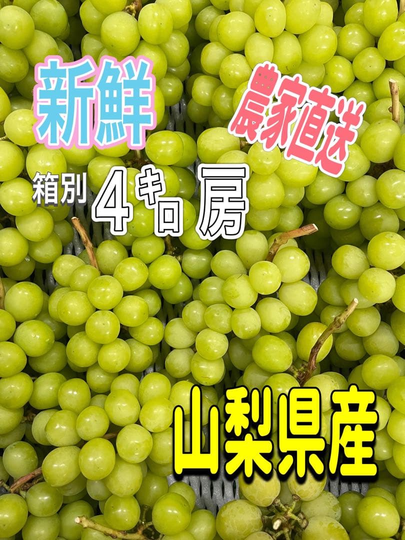 シャインマスカット 房 4キロ ５日発送