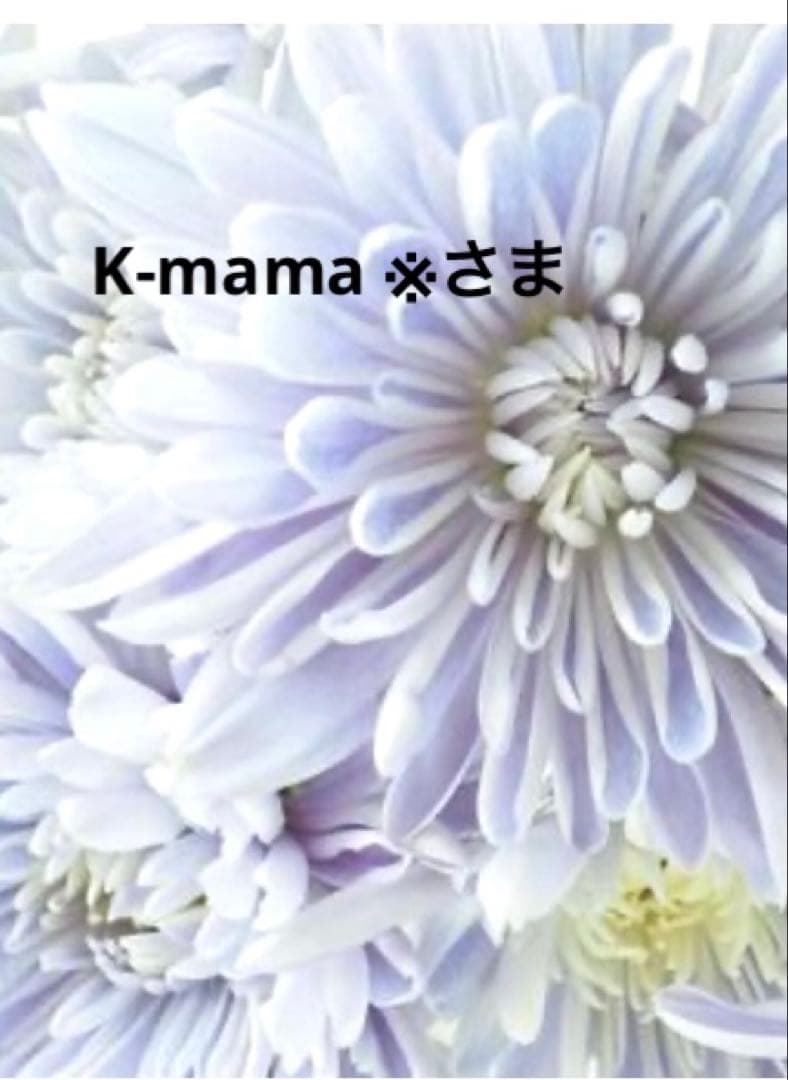 在庫ラスト✨CHANEL チェーンウォレット　キルティングショルダー　ノベルティ