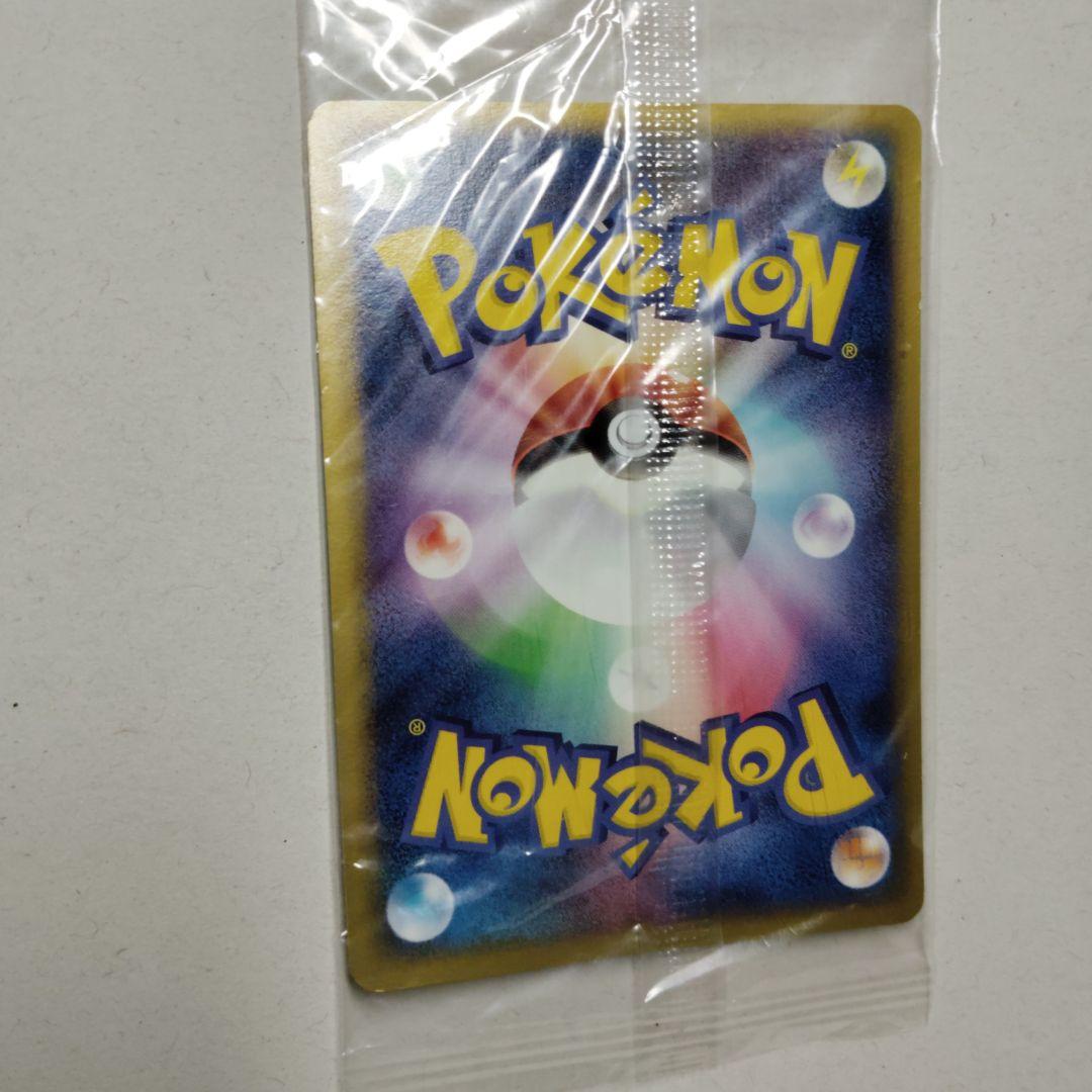 ポケパークのピカチュウ PROMO PCG-Pプロモカード 043/PCG-P