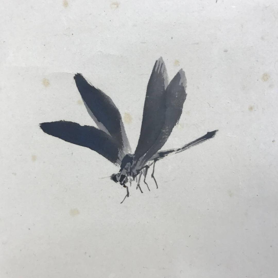 真作/石川有隣/撫子/ナデシコ図/花鳥図/蜻蛉図/掛軸/名家伝来AE-373