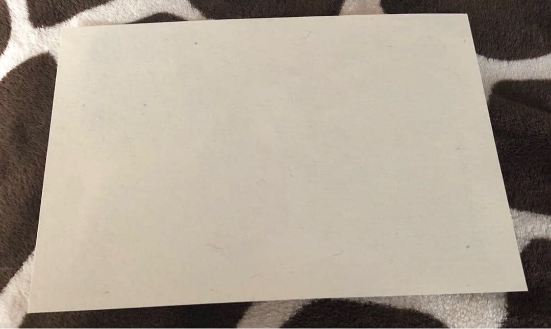 ① 俺だけレベルアップな件 月桃紙 御来場印 イラストカード ソロレベリング