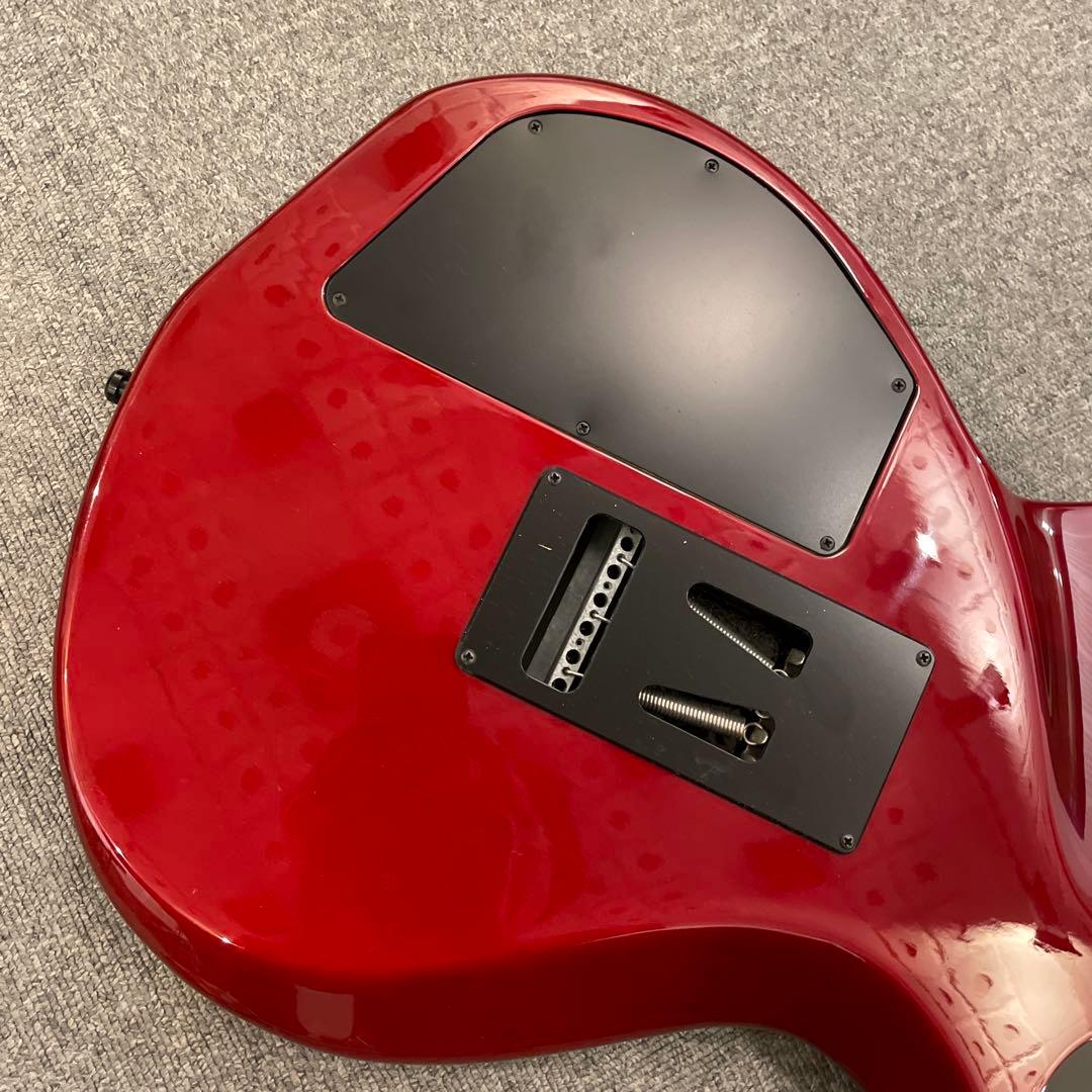 Godin xtSA Synth Access 送料込 ローランド ギターシンセ