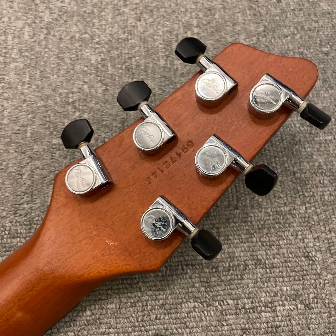 Godin xtSA Synth Access 送料込 ローランド ギターシンセ