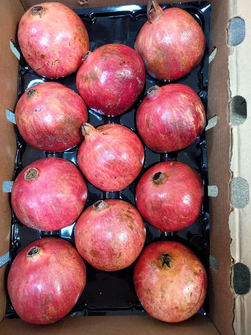 どーん　特大フレッシュザクロ11玉　5000gあっぷ