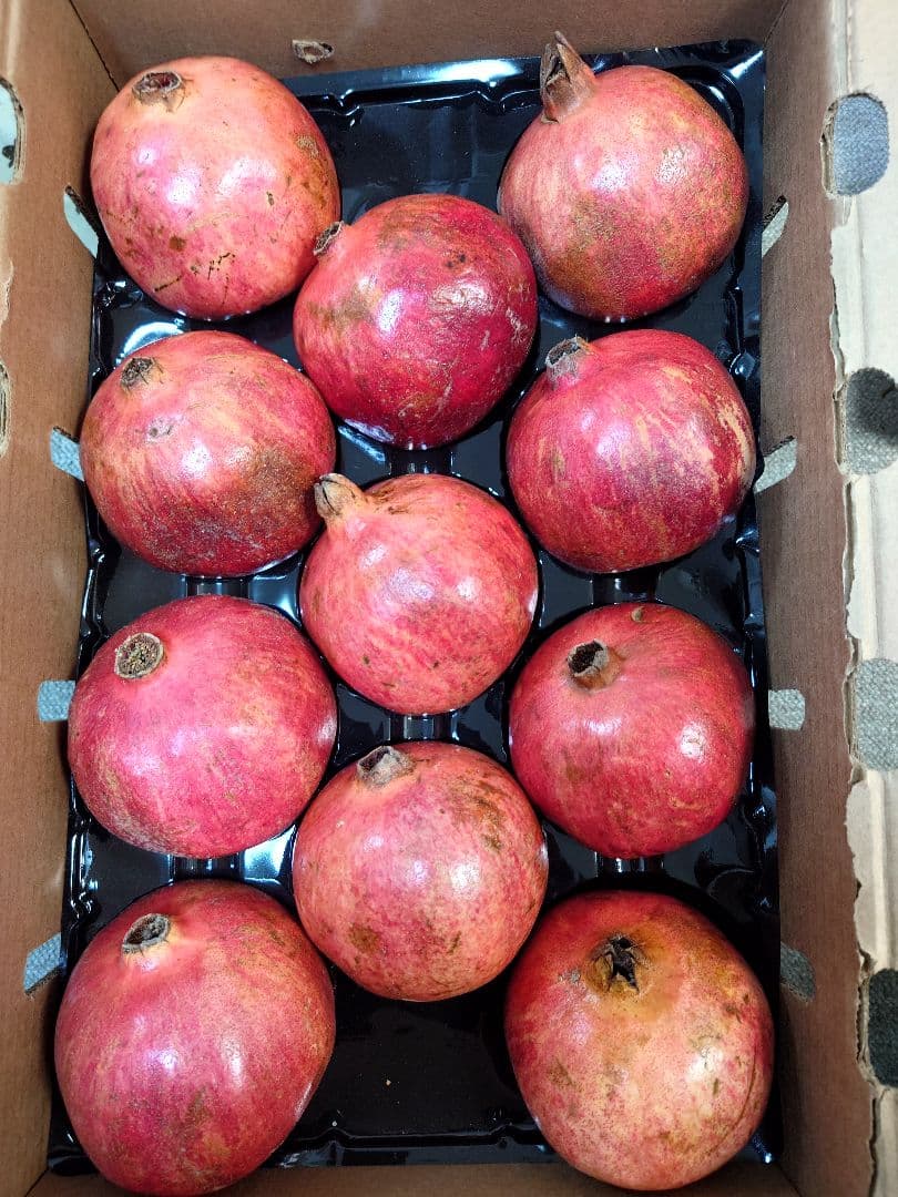 どーん　特大フレッシュザクロ11玉　5000gあっぷ