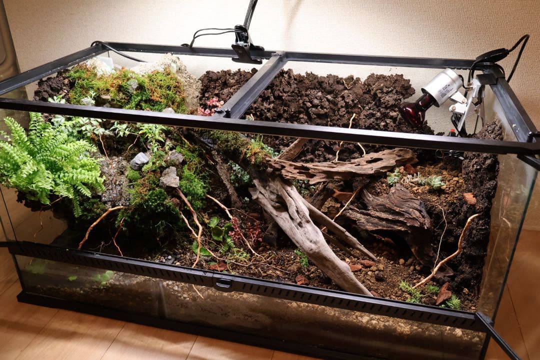 ビバリウム、テラリウム　9045