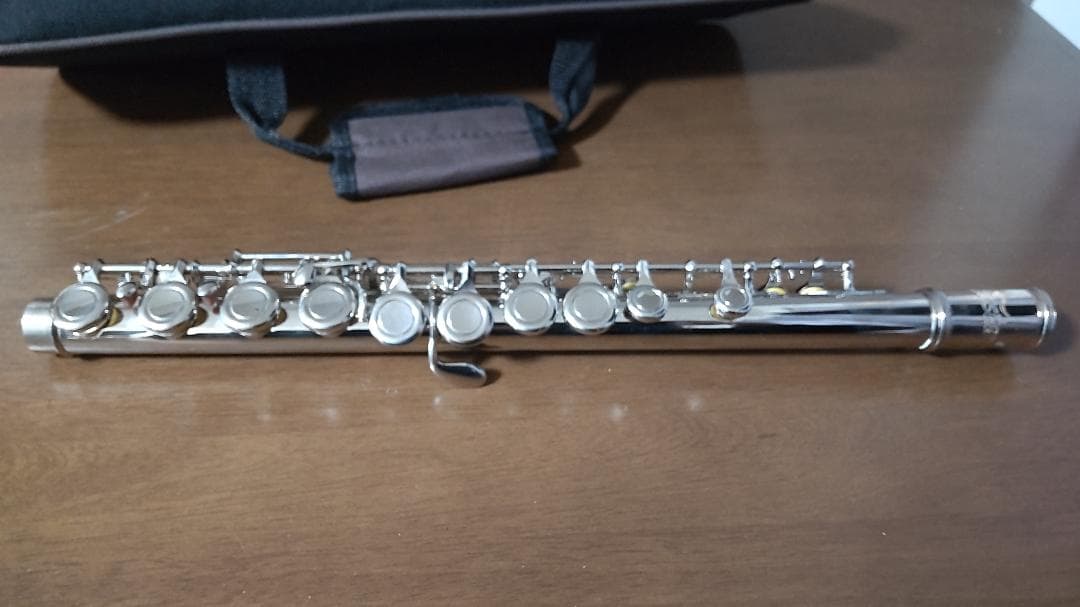 Easter フルート ケース・付属品多数 初心者 入門 管楽器