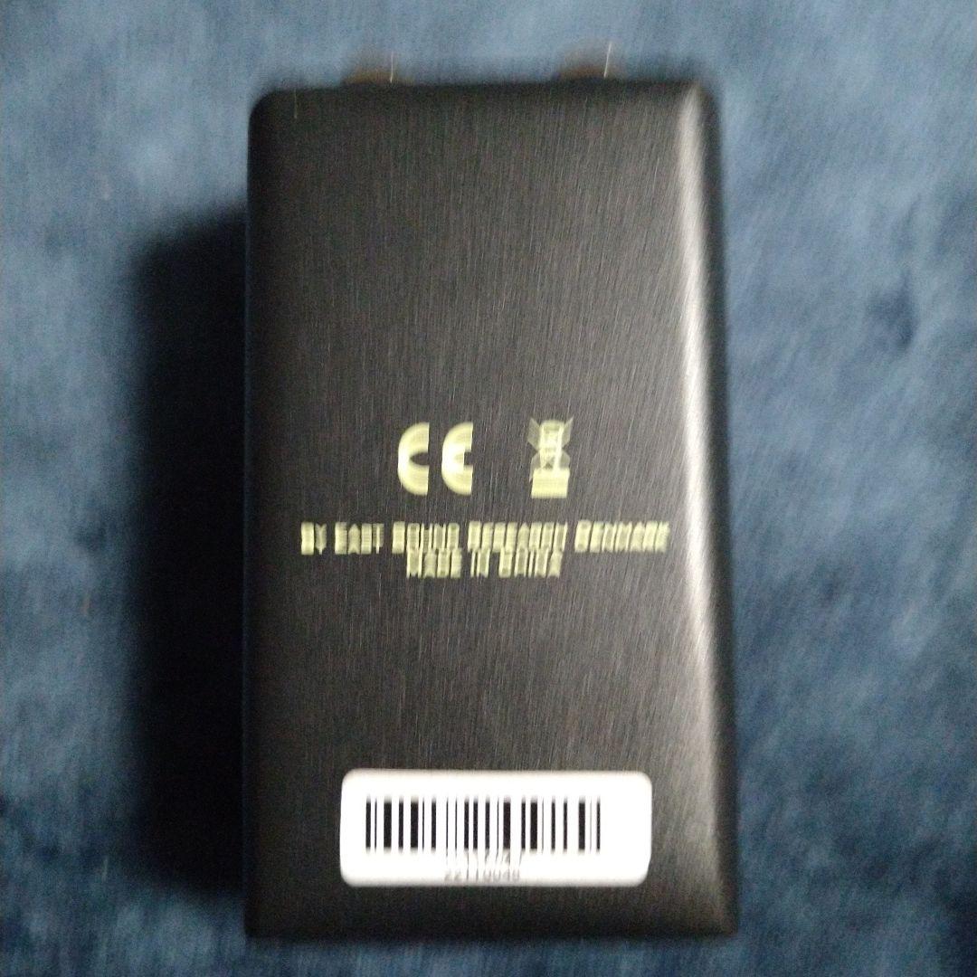 ギター Carl Martin OTTawa