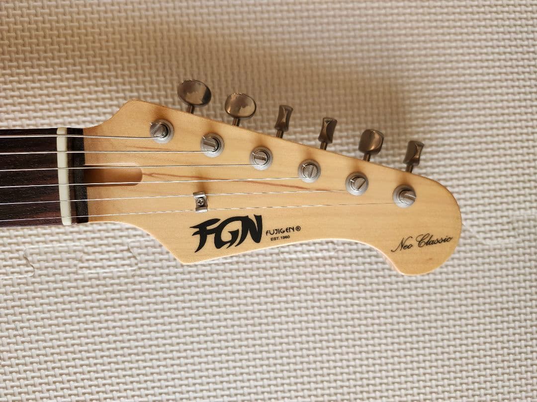 ※※※最終価格※※※　　Fujigen NST20RAL BLK フジゲン