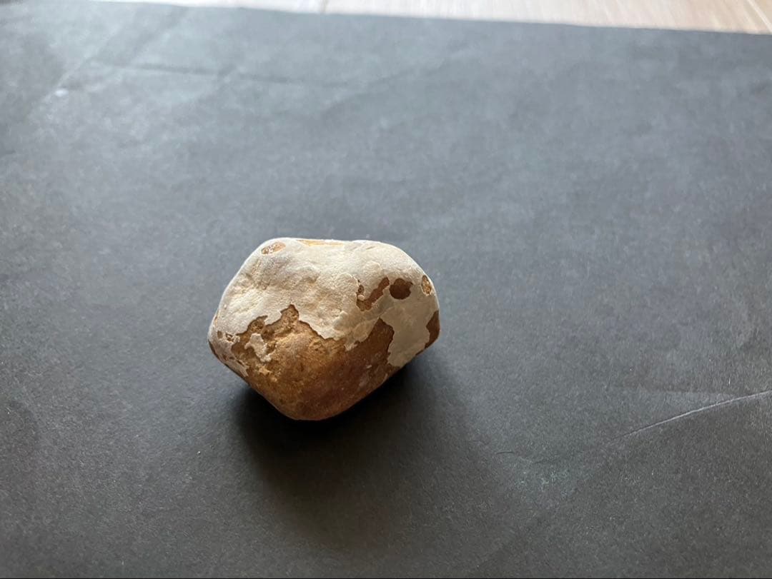 ヨルダン　死海の石 2010年採取