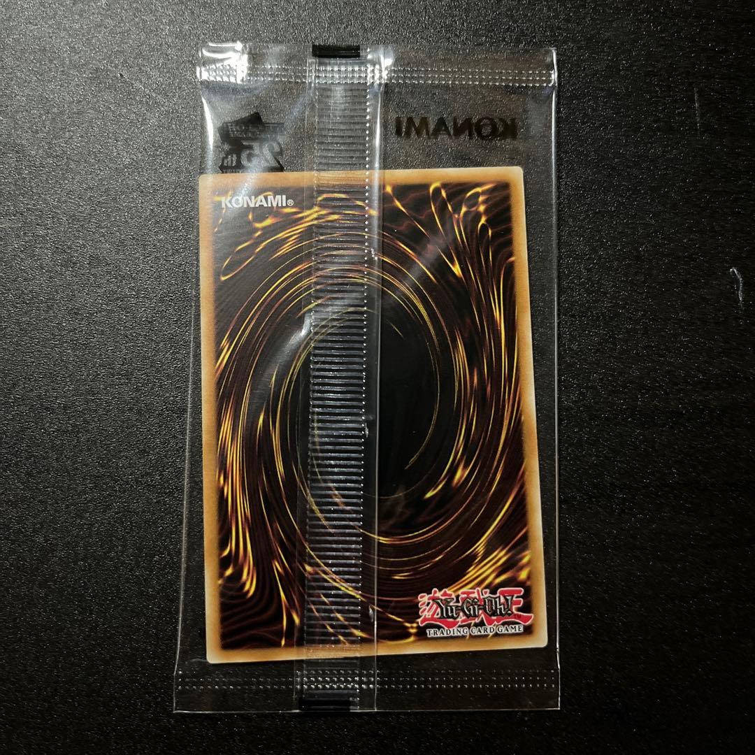 遊戯王OCG デュエルモンスターズ WCS2024