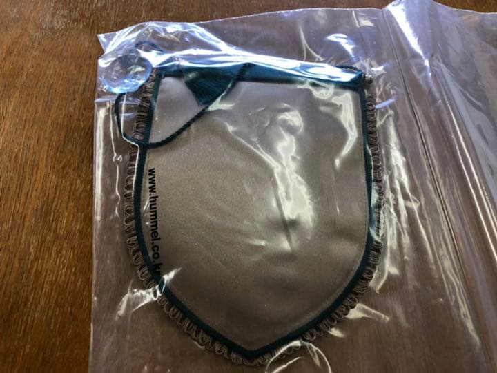 全北現代　2021　ペナント　JEONBUK