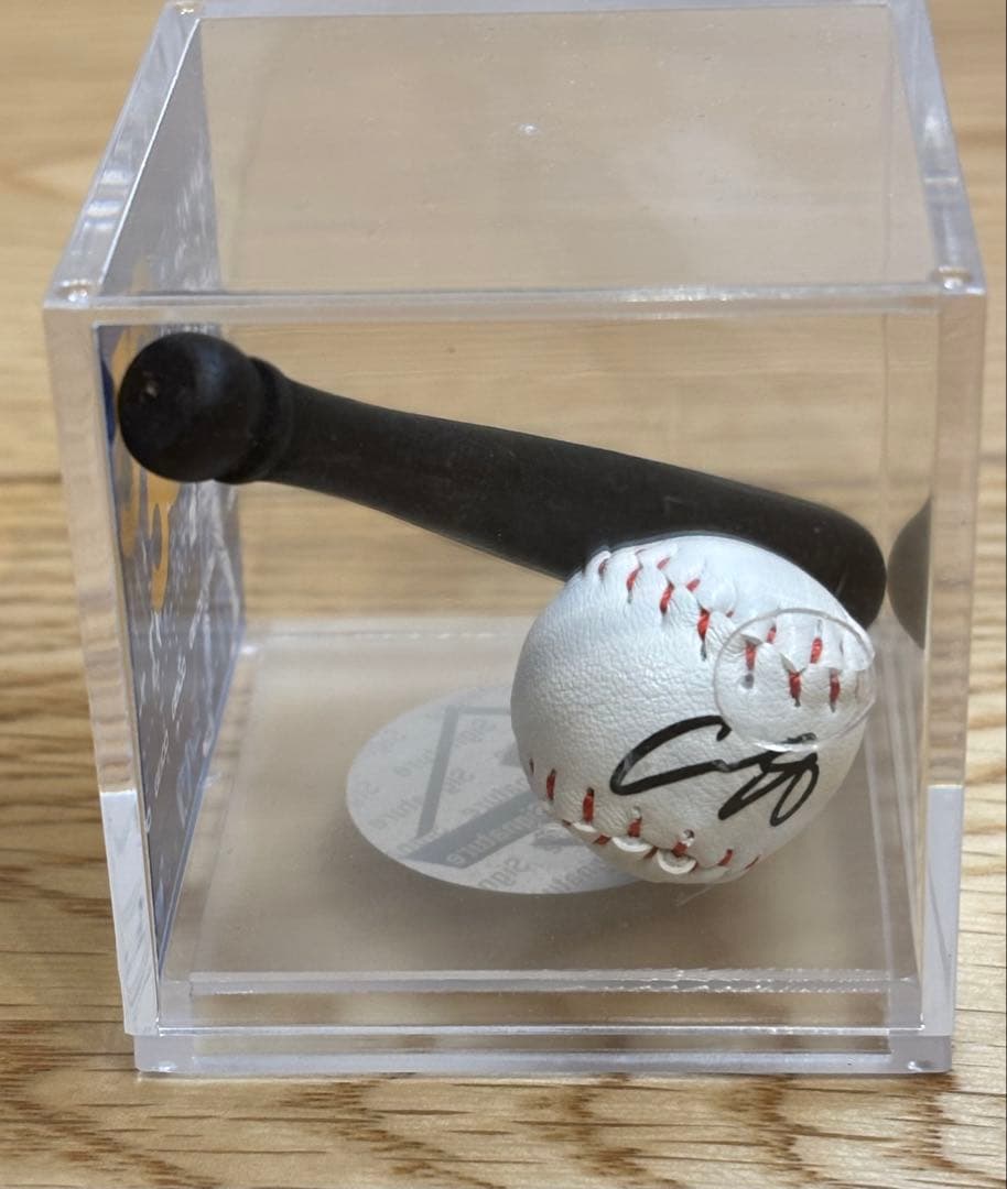 一点限定！⭐️期間限定価格⭐️大谷翔平 サイングローブ＆2024シルバースラッガー賞