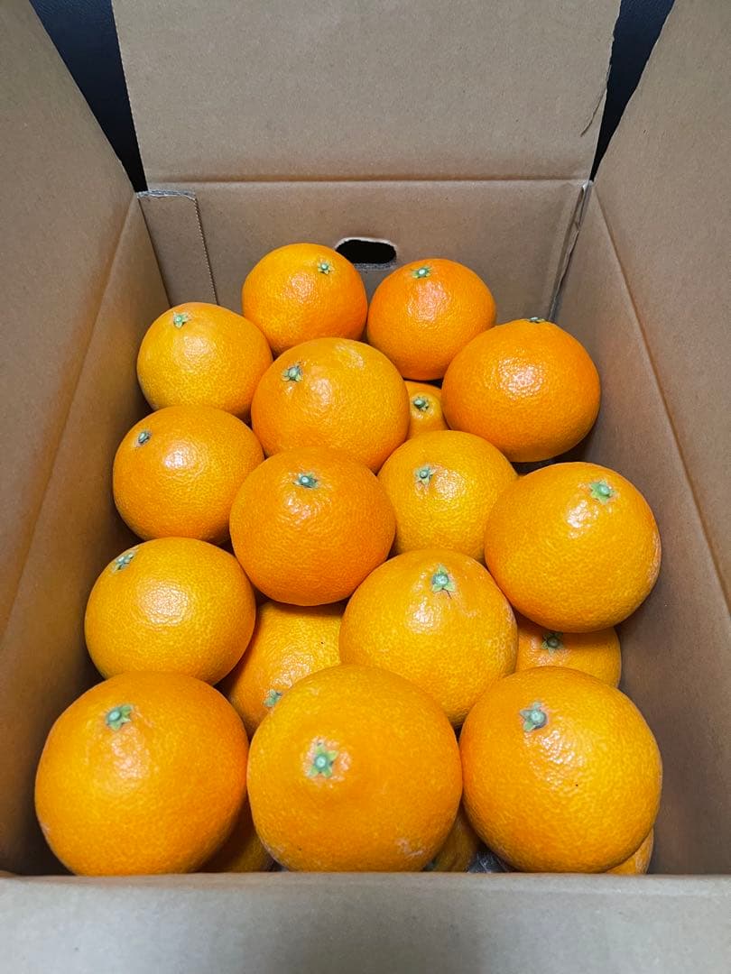 愛果28号(紅まどんな 同品種)・10kg⚠特選L~3L玉