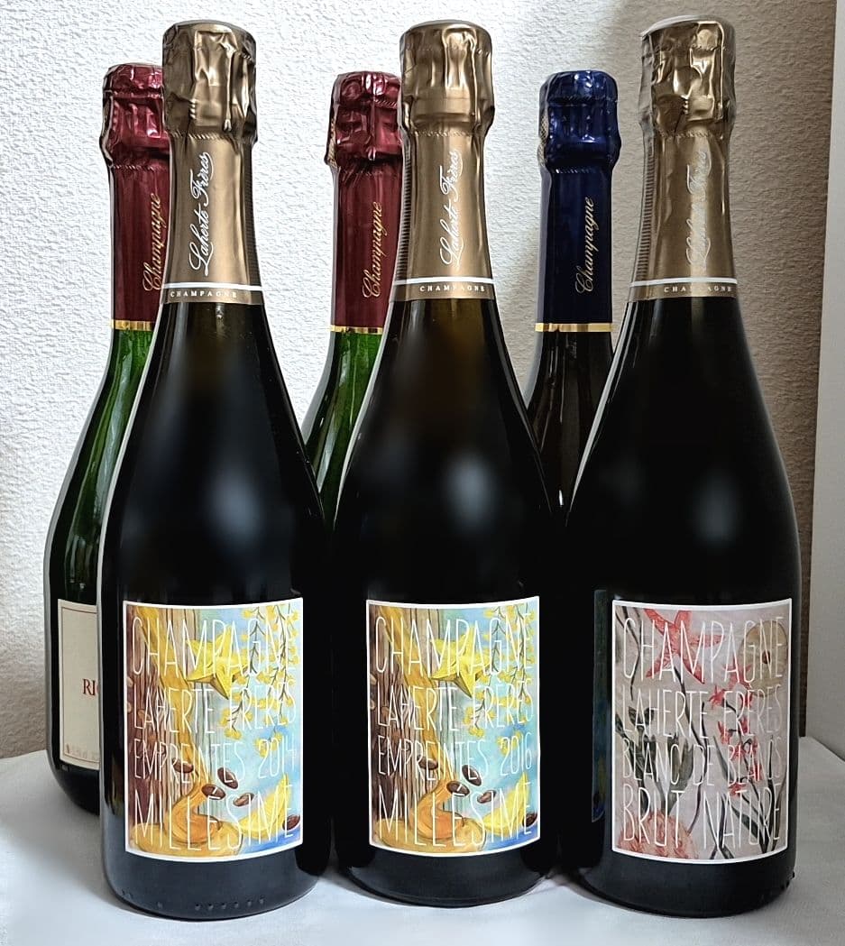 ラシーヌ　シャンパン　シャンパーニュ　バックビンテージ　６本セット