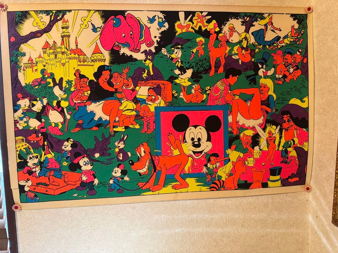 The Disneyland Memorial Orgyポスター