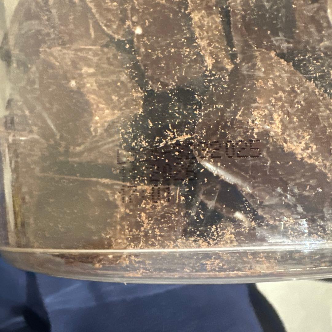 Haribo チョコマシュマロ バケツ 400g 8個セット