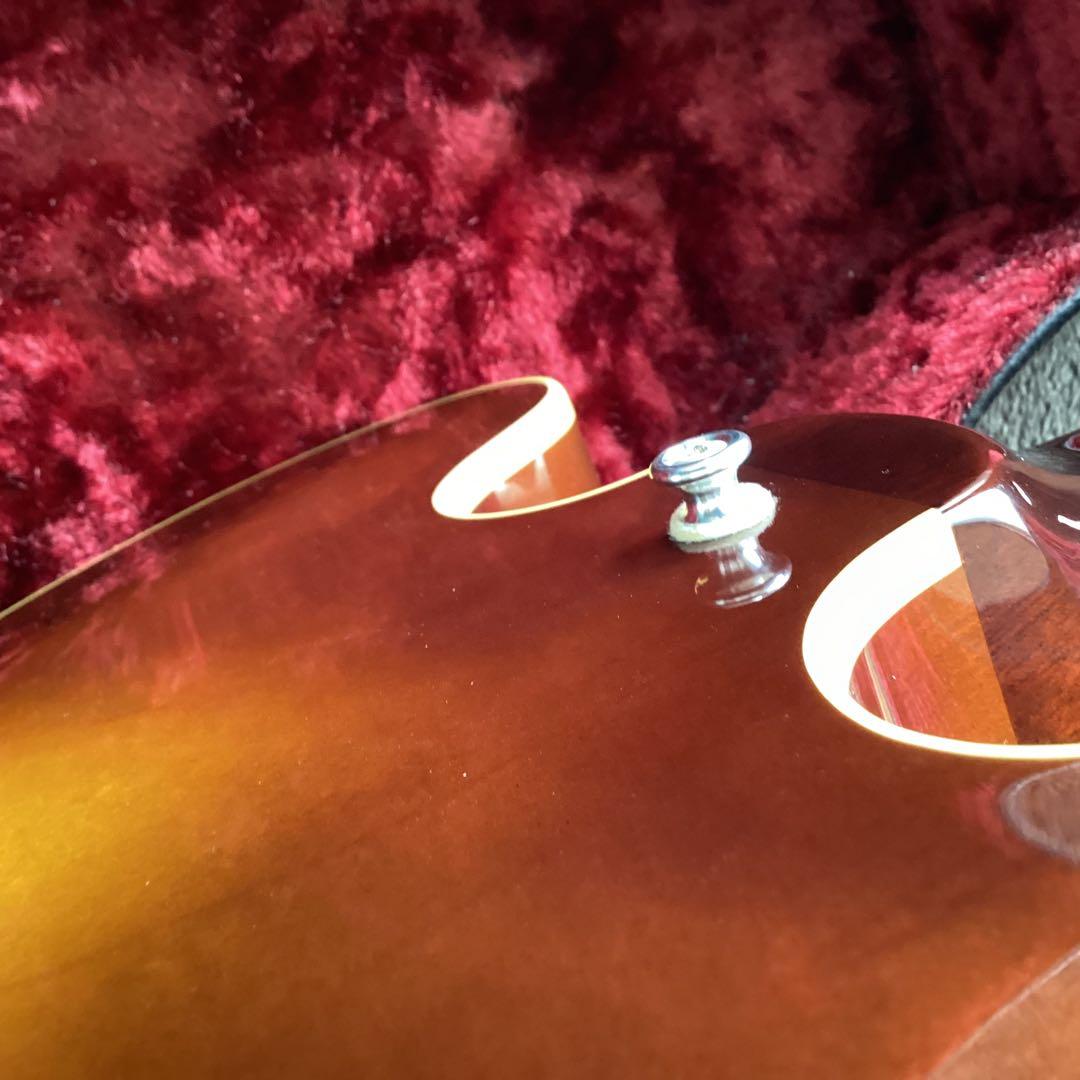 History ZSA-CFS セミアコ　日本製　フジゲン製　ギター