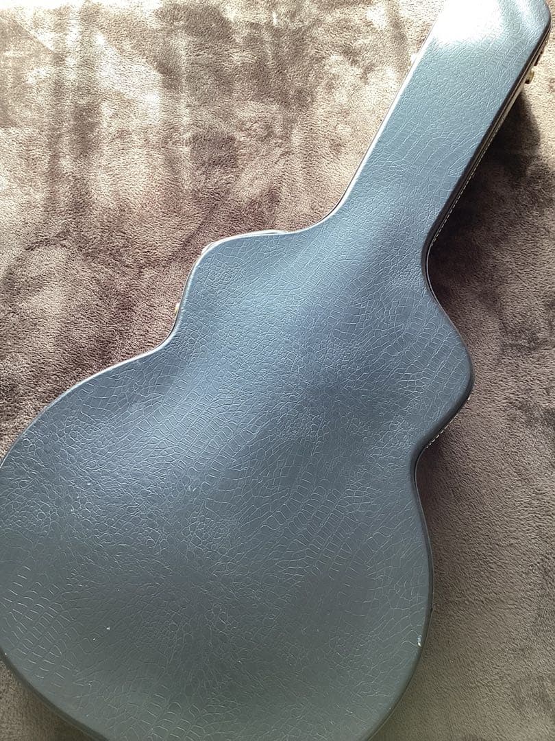 History ZSA-CFS セミアコ　日本製　フジゲン製　ギター