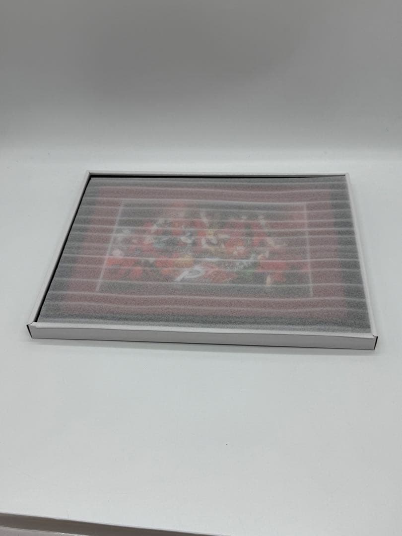 ペルソナ5 スペシャル・ビッグバンド・コンサート 限定キャラファイングラフ A5